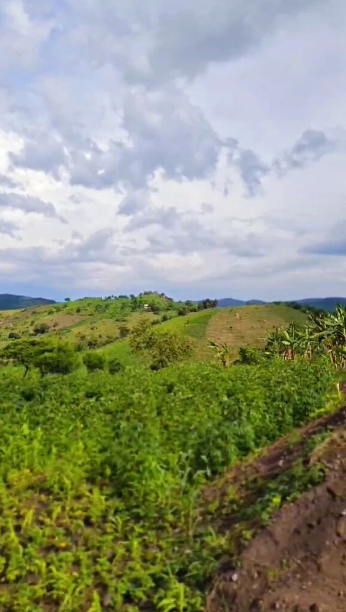 1764839629356405.png image.png