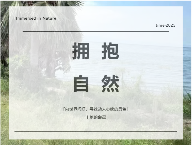 1765949019338779.png image.png